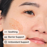 Pycnogenol 5%, Antioxidant-Rich Plant Extract for Environmental Protection, 0.5 Fl Oz